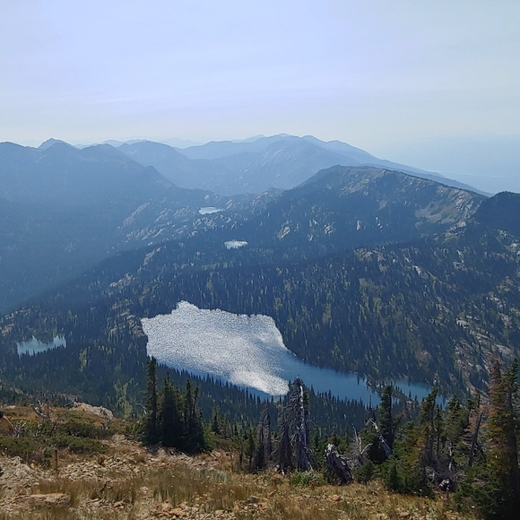 Meet your Posher, Maggie - Picture 4 of 6